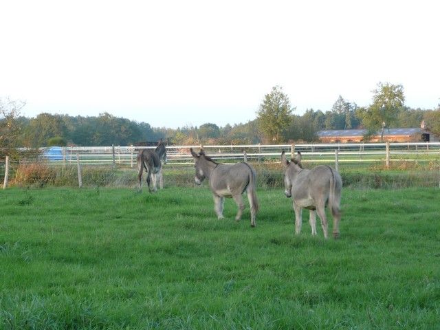 Balthazar et leonard Arrivee (34).jpg